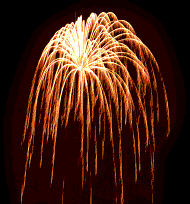 premier pyrotechnics fireworks shell assortment