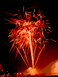 premier pyrotechnics fireworks shell assortment